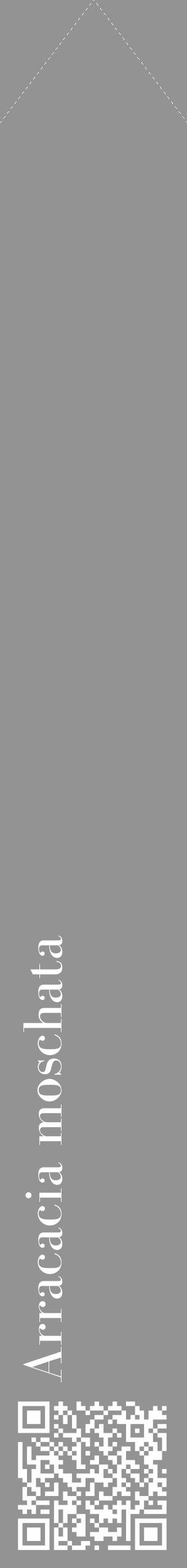 Étiquette de : Arracacia moschata - format c - style blanche44_simple_simplebod avec qrcode et comestibilité - position verticale