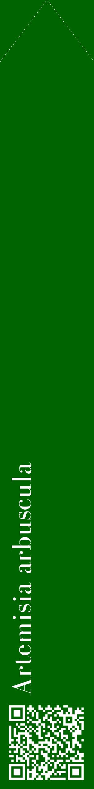 Étiquette de : Artemisia arbuscula - format c - style blanche8_simplebod avec qrcode et comestibilité