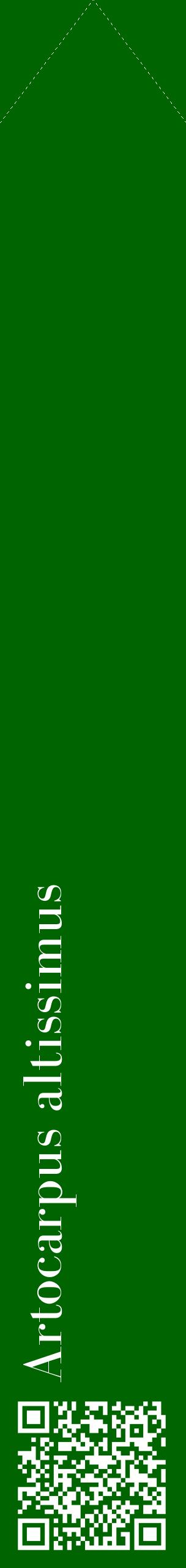 Étiquette de : Artocarpus altissimus - format c - style blanche8_simplebod avec qrcode et comestibilité