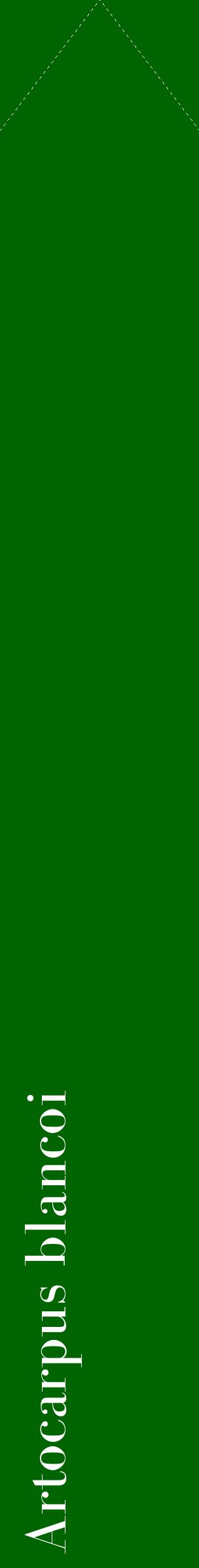 Étiquette de : Artocarpus blancoi - format c - style blanche8_simplebod avec comestibilité