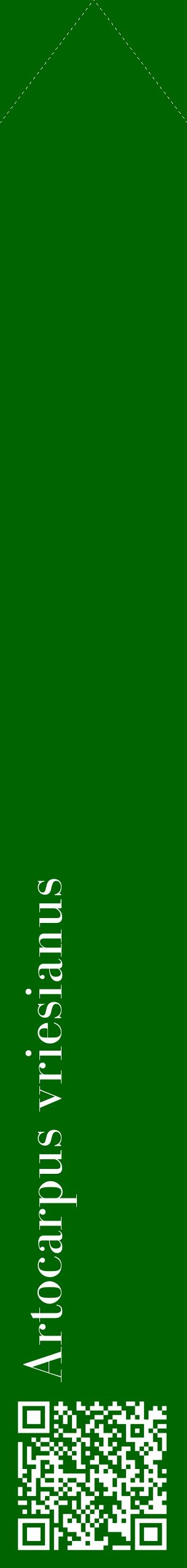 Étiquette de : Artocarpus vriesianus - format c - style blanche8_simplebod avec qrcode et comestibilité