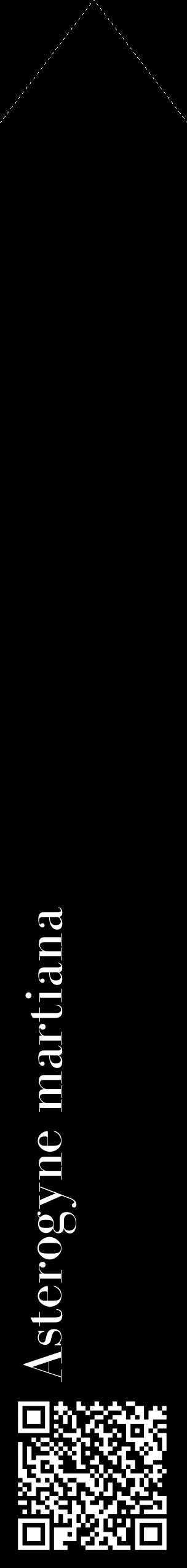 Étiquette de : Asterogyne martiana - format c - style blanche59_simplebod avec qrcode et comestibilité