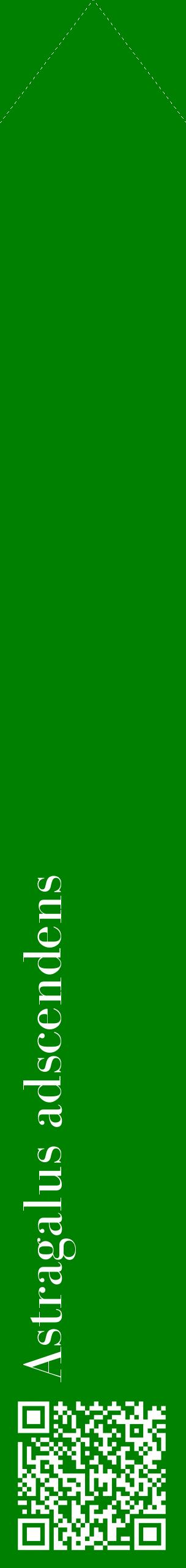 Étiquette de : Astragalus adscendens - format c - style blanche9_simplebod avec qrcode et comestibilité