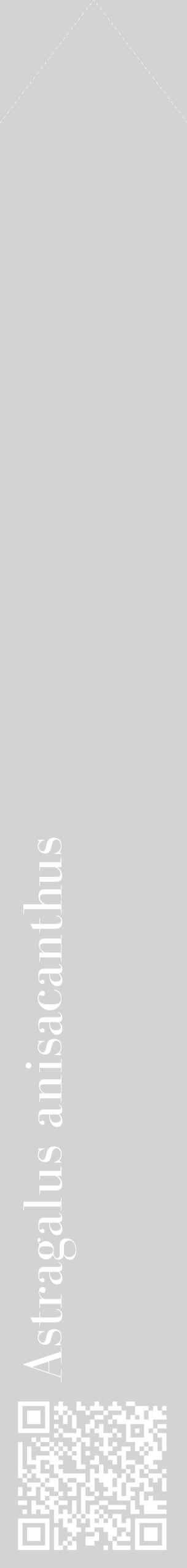 Étiquette de : Astragalus anisacanthus - format c - style blanche56_simplebod avec qrcode et comestibilité