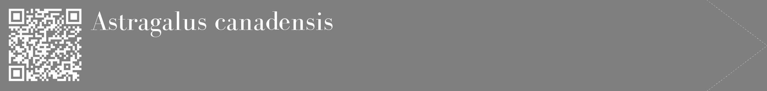 Étiquette de : Astragalus canadensis - format c - style blanche31_simple_simplebod avec qrcode et comestibilité