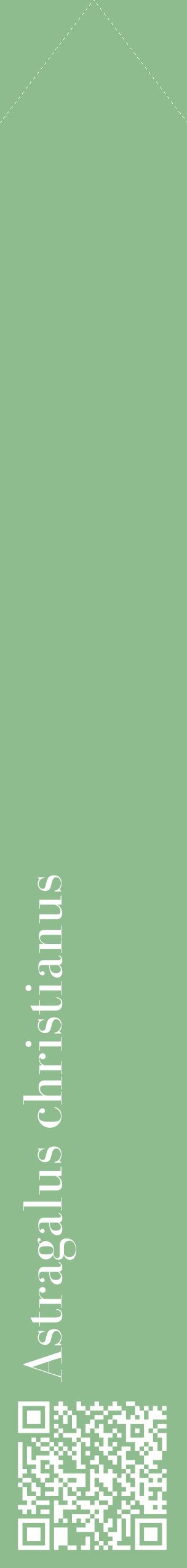 Étiquette de : Astragalus christianus - format c - style blanche13_simplebod avec qrcode et comestibilité