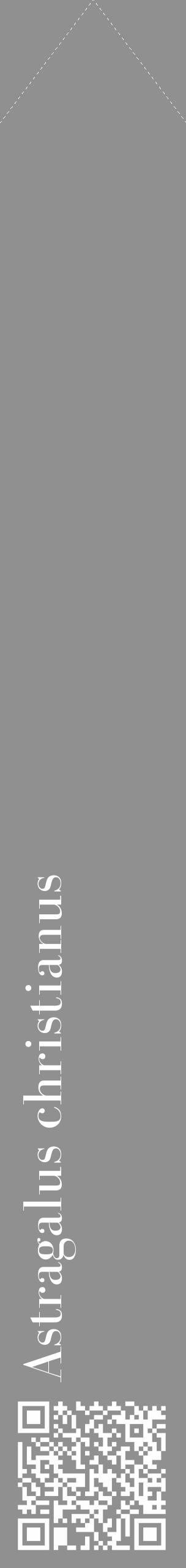 Étiquette de : Astragalus christianus - format c - style blanche4_simple_simplebod avec qrcode et comestibilité - position verticale