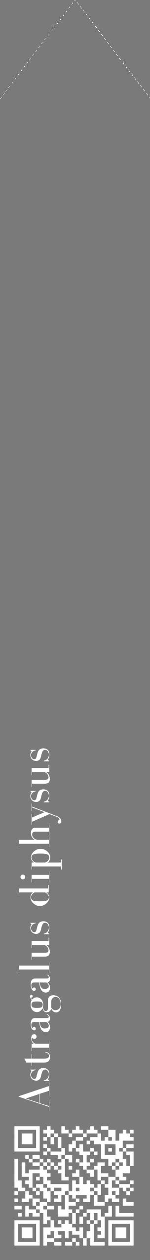 Étiquette de : Astragalus diphysus - format c - style blanche3_simple_simplebod avec qrcode et comestibilité - position verticale