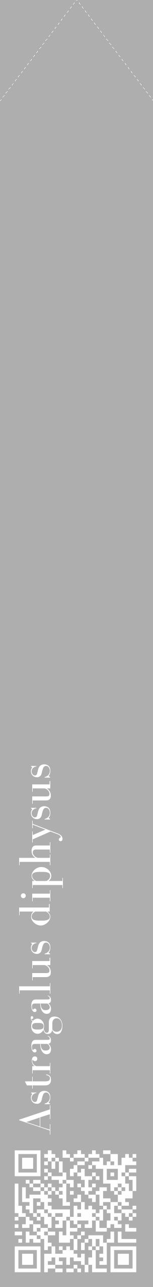 Étiquette de : Astragalus diphysus - format c - style blanche53_simple_simplebod avec qrcode et comestibilité - position verticale