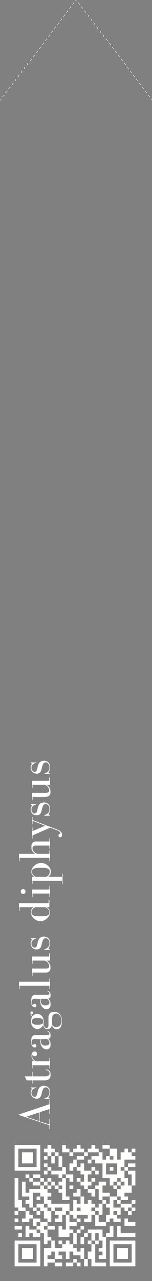 Étiquette de : Astragalus diphysus - format c - style blanche57_simplebod avec qrcode et comestibilité