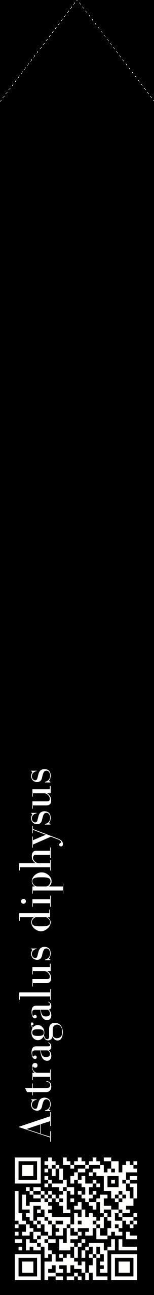 Étiquette de : Astragalus diphysus - format c - style blanche59_simplebod avec qrcode et comestibilité