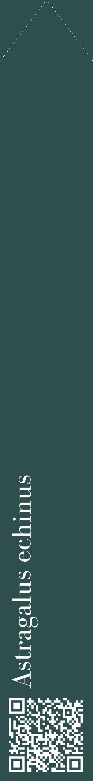 Étiquette de : Astragalus echinus - format c - style blanche58_simplebod avec qrcode et comestibilité
