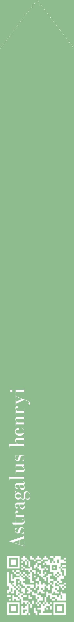 Étiquette de : Astragalus henryi - format c - style blanche13_simplebod avec qrcode et comestibilité