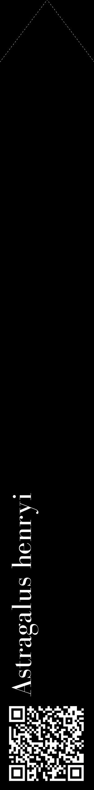 Étiquette de : Astragalus henryi - format c - style blanche59_simplebod avec qrcode et comestibilité