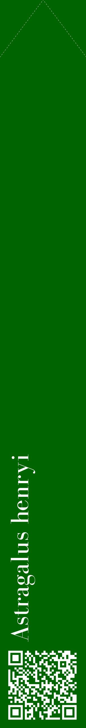 Étiquette de : Astragalus henryi - format c - style blanche8_simplebod avec qrcode et comestibilité