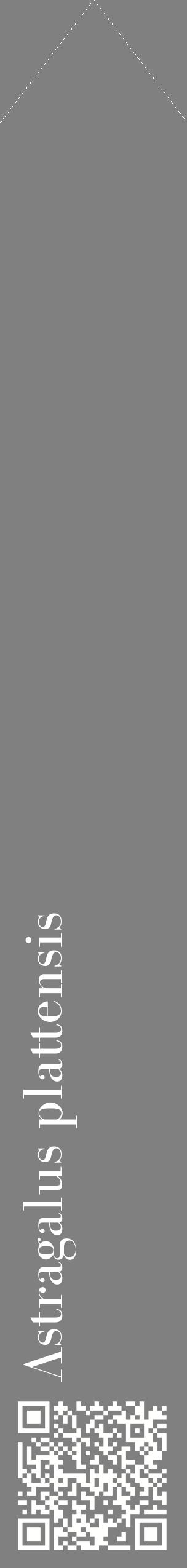 Étiquette de : Astragalus plattensis - format c - style blanche57_simplebod avec qrcode et comestibilité