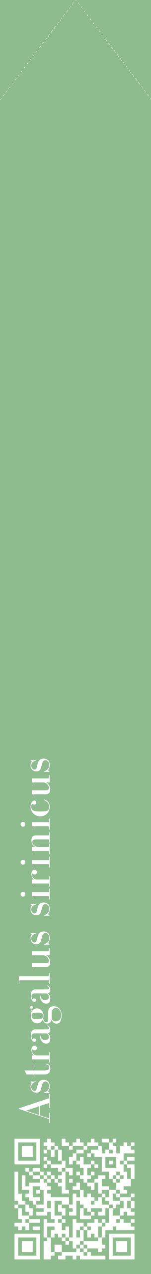 Étiquette de : Astragalus sirinicus - format c - style blanche13_simplebod avec qrcode et comestibilité