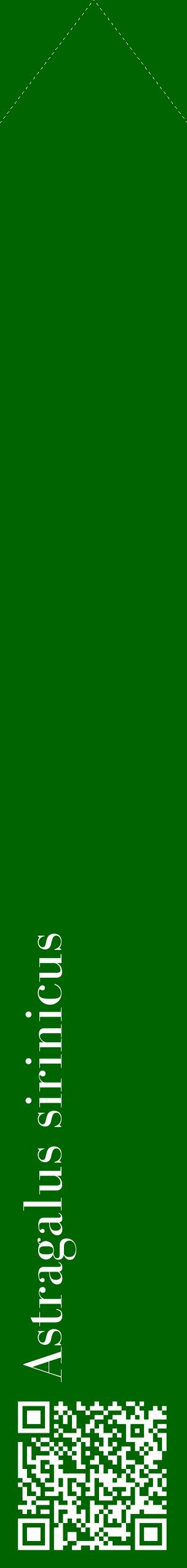 Étiquette de : Astragalus sirinicus - format c - style blanche8_simplebod avec qrcode et comestibilité