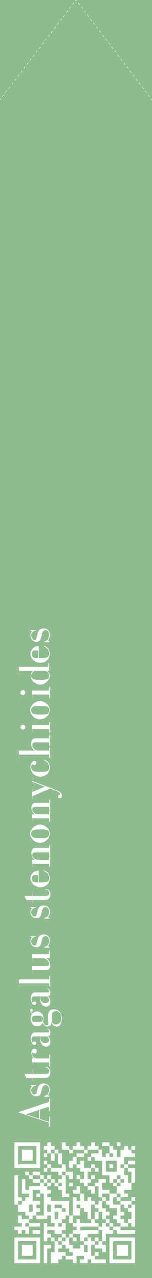 Étiquette de : Astragalus stenonychioides - format c - style blanche13_simplebod avec qrcode et comestibilité