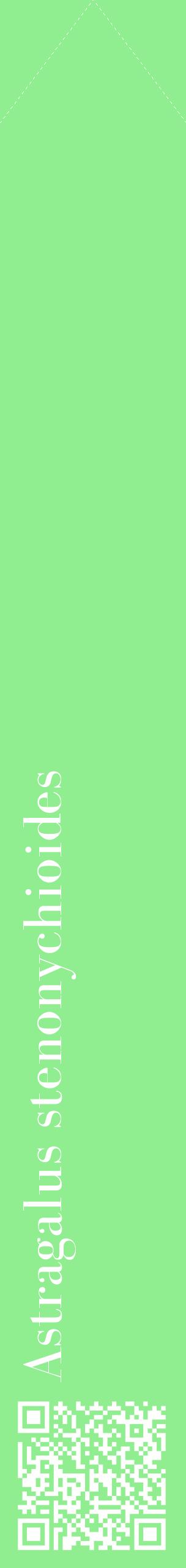 Étiquette de : Astragalus stenonychioides - format c - style blanche15_simplebod avec qrcode et comestibilité