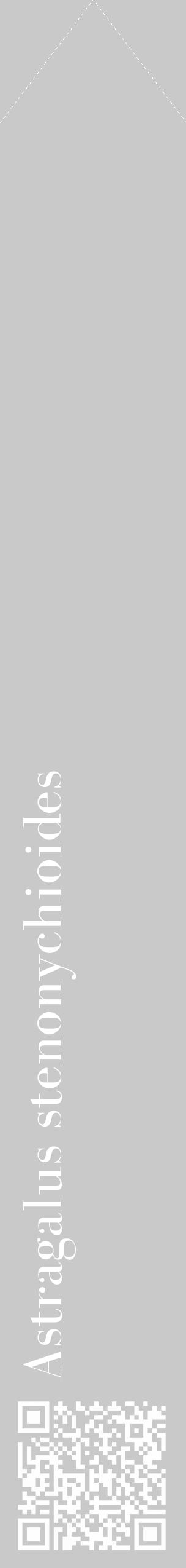 Étiquette de : Astragalus stenonychioides - format c - style blanche54_simple_simplebod avec qrcode et comestibilité - position verticale
