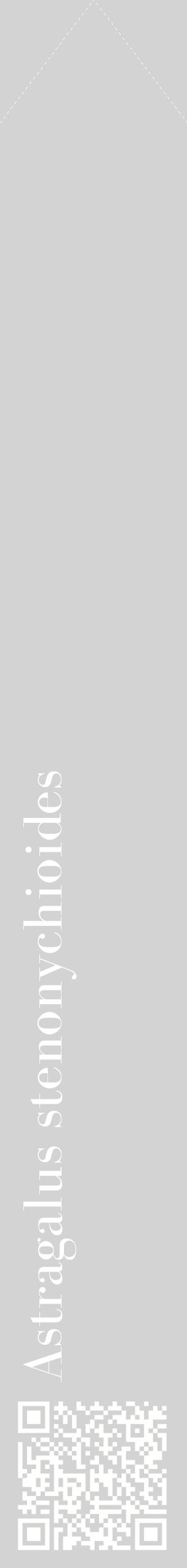 Étiquette de : Astragalus stenonychioides - format c - style blanche56_simplebod avec qrcode et comestibilité