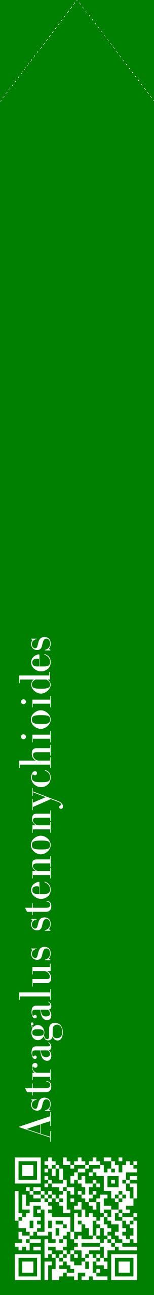 Étiquette de : Astragalus stenonychioides - format c - style blanche9_simplebod avec qrcode et comestibilité