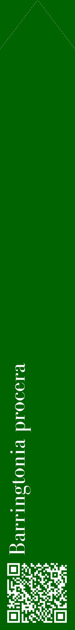 Étiquette de : Barringtonia procera - format c - style blanche8_simplebod avec qrcode et comestibilité