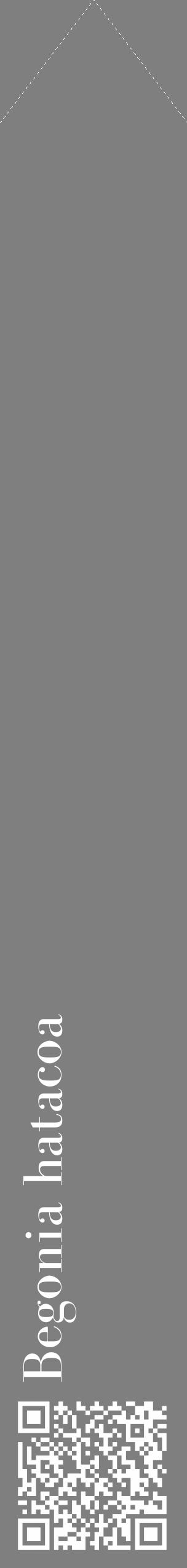 Étiquette de : Begonia hatacoa - format c - style blanche31_simple_simplebod avec qrcode et comestibilité - position verticale