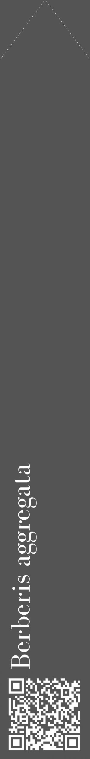 Étiquette de : Berberis aggregata - format c - style blanche36_simple_simplebod avec qrcode et comestibilité - position verticale