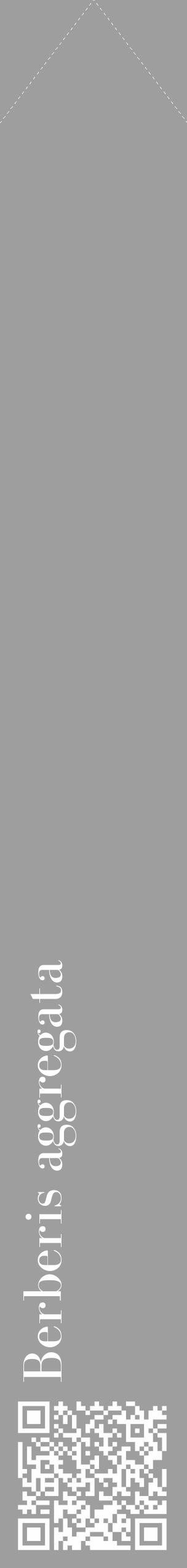 Étiquette de : Berberis aggregata - format c - style blanche42_simple_simplebod avec qrcode et comestibilité - position verticale