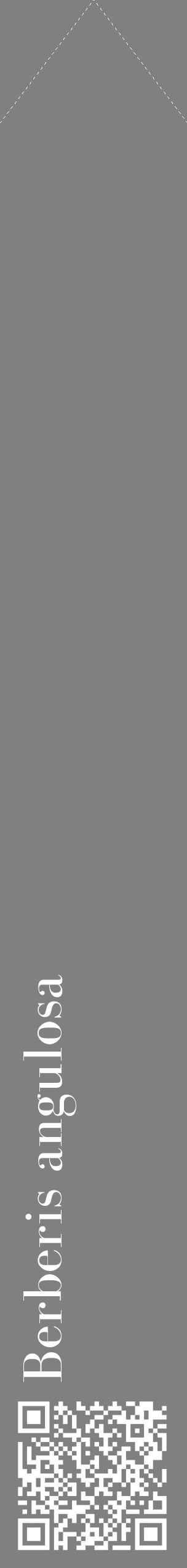 Étiquette de : Berberis angulosa - format c - style blanche57_simplebod avec qrcode et comestibilité