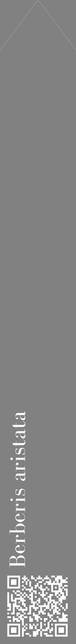 Étiquette de : Berberis aristata - format c - style blanche50_simple_simplebod avec qrcode et comestibilité - position verticale