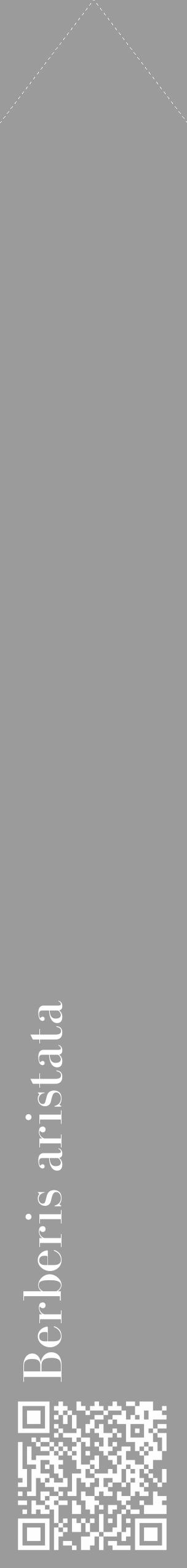 Étiquette de : Berberis aristata - format c - style blanche52_simple_simplebod avec qrcode et comestibilité - position verticale