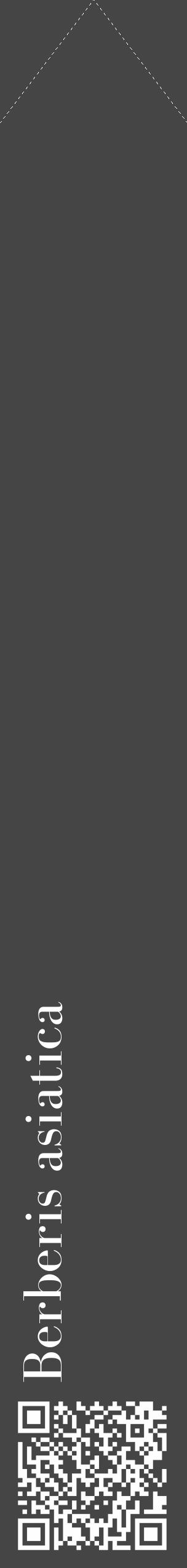 Étiquette de : Berberis asiatica - format c - style blanche58_simple_simplebod avec qrcode et comestibilité - position verticale