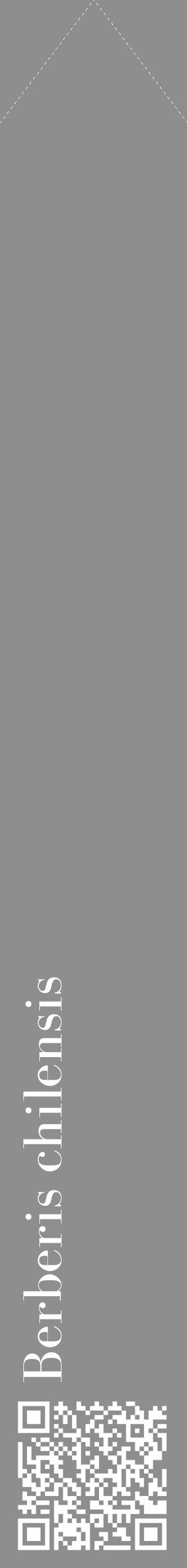 Étiquette de : Berberis chilensis - format c - style blanche25_simple_simplebod avec qrcode et comestibilité - position verticale