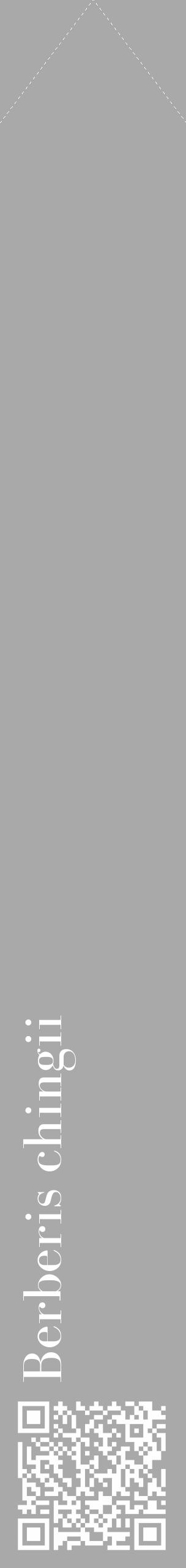 Étiquette de : Berberis chingii - format c - style blanche13_simple_simplebod avec qrcode et comestibilité - position verticale