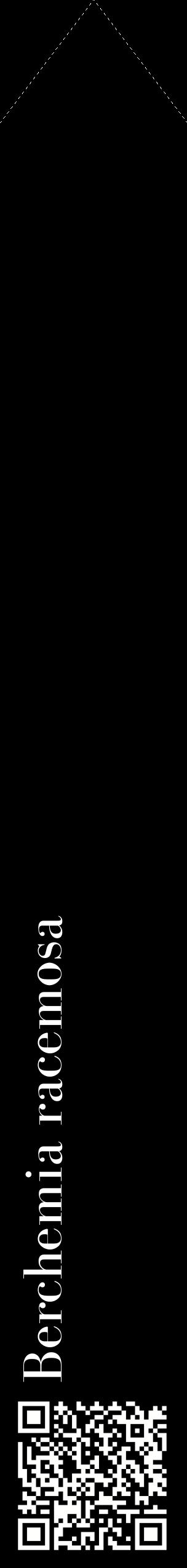 Étiquette de : Berchemia racemosa - format c - style blanche59_simplebod avec qrcode et comestibilité