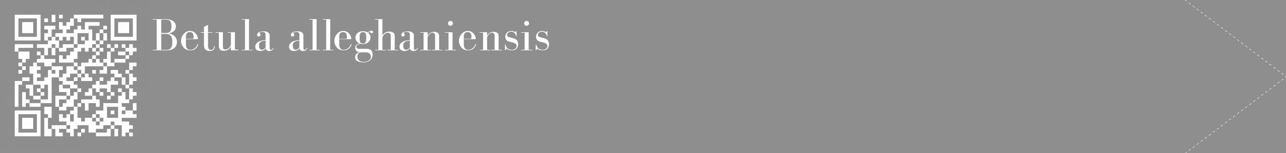 Étiquette de : Betula alleghaniensis - format c - style blanche25_simple_simplebod avec qrcode et comestibilité
