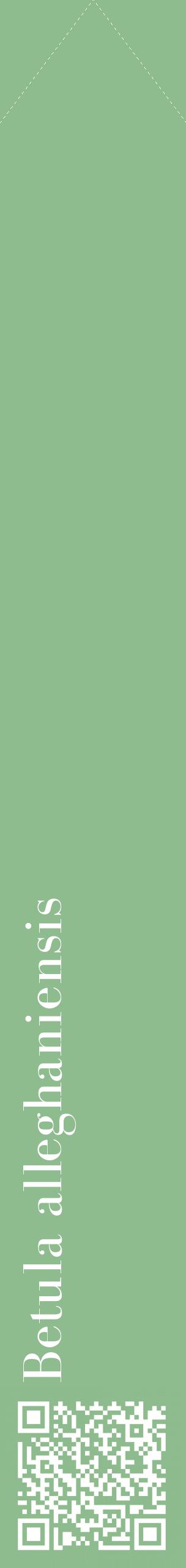 Étiquette de : Betula alleghaniensis - format c - style blanche13_simplebod avec qrcode et comestibilité