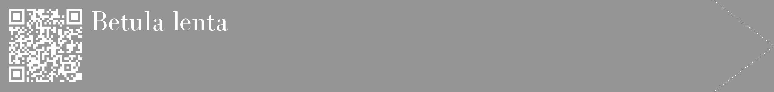 Étiquette de : Betula lenta - format c - style blanche16_simple_simplebod avec qrcode et comestibilité