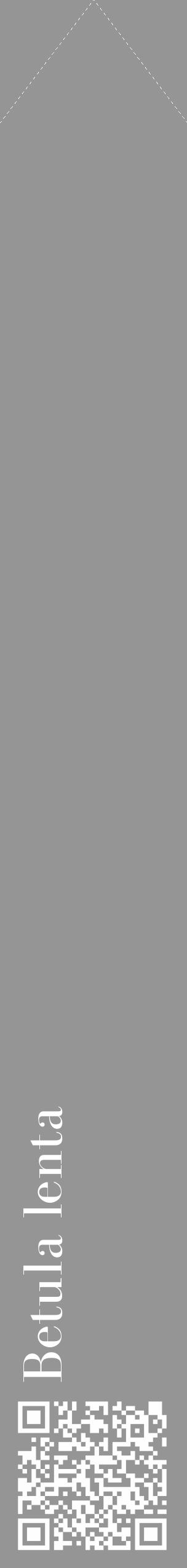 Étiquette de : Betula lenta - format c - style blanche16_simple_simplebod avec qrcode et comestibilité - position verticale