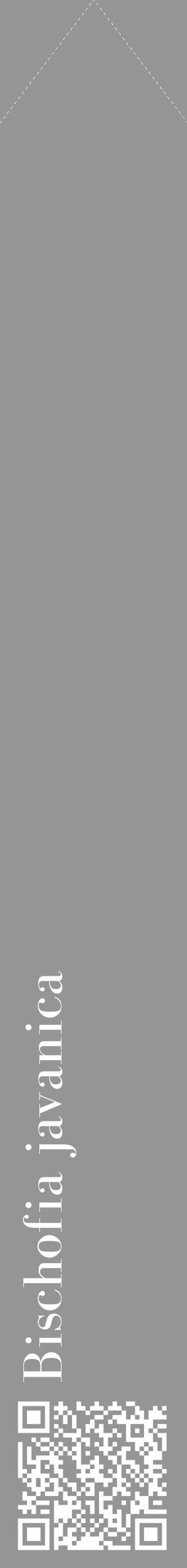 Étiquette de : Bischofia javanica - format c - style blanche16_simple_simplebod avec qrcode et comestibilité - position verticale