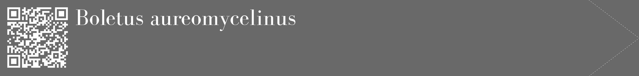 Étiquette de : Boletus aureomycelinus - format c - style blanche11_simple_simplebod avec qrcode et comestibilité