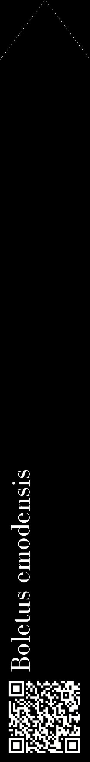 Étiquette de : Boletus emodensis - format c - style blanche59_simplebod avec qrcode et comestibilité