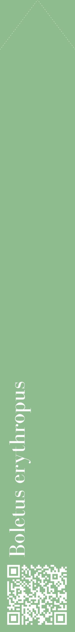 Étiquette de : Boletus erythropus - format c - style blanche13_simplebod avec qrcode et comestibilité
