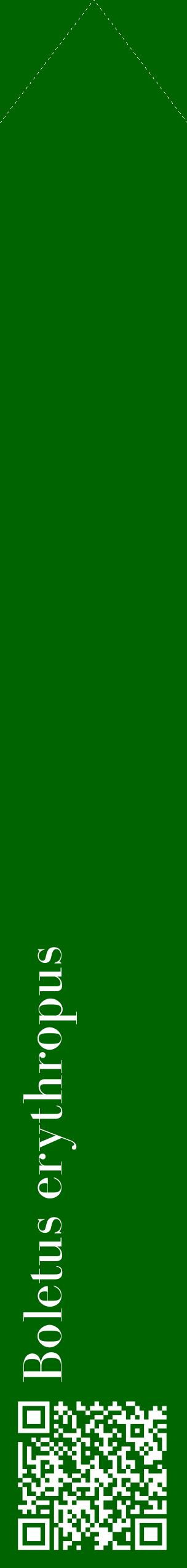 Étiquette de : Boletus erythropus - format c - style blanche8_simplebod avec qrcode et comestibilité