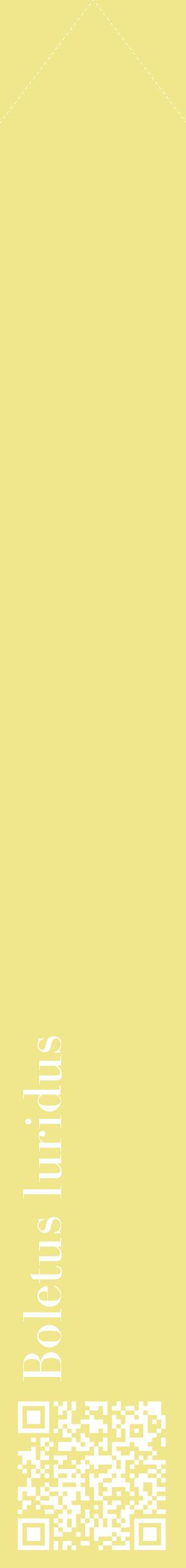 Étiquette de : Boletus luridus - format c - style blanche20_simplebod avec qrcode et comestibilité
