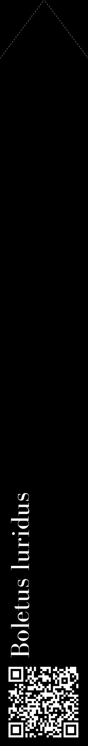 Étiquette de : Boletus luridus - format c - style blanche59_simplebod avec qrcode et comestibilité