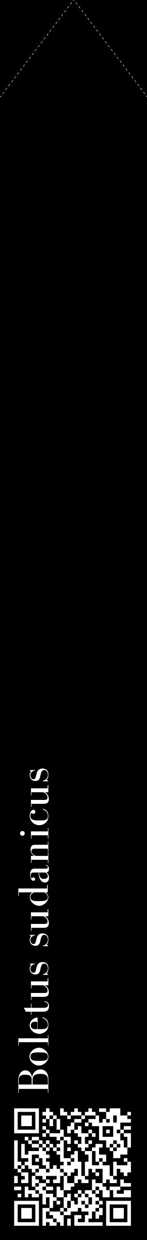Étiquette de : Boletus sudanicus - format c - style blanche59_simplebod avec qrcode et comestibilité